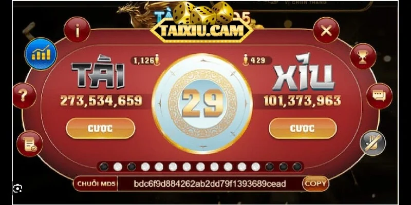 Tính chiến thuật khi so sánh tài xỉu vs xóc đĩa