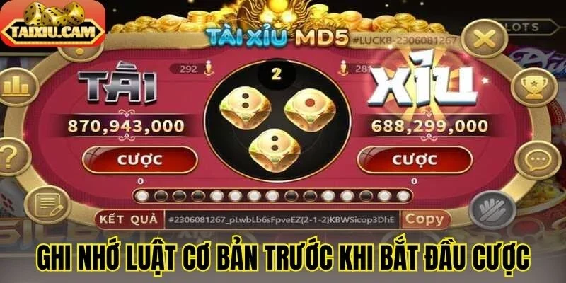 Ghi nhớ luật cơ bản trước khi bắt đầu cược