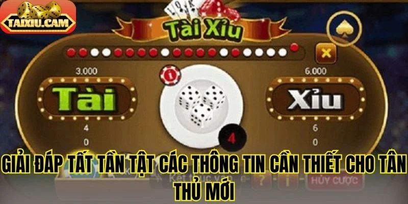 Giải đáp tất tần tật các thông tin cần thiết cho tân thủ mới