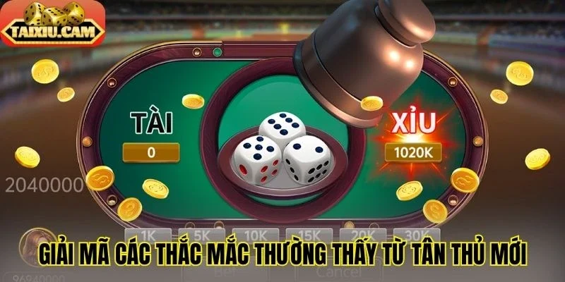 Giải mã các thắc mắc thường thấy từ tân thủ mới