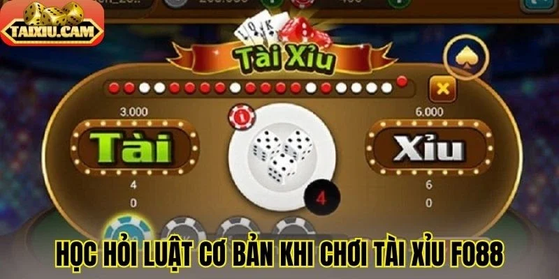 Học hỏi luật cơ bản khi chơi tài xỉu FOR88