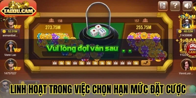 Linh hoạt trong việc chọn hạn mức đặt cược