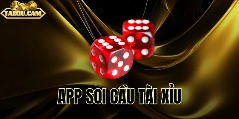 Trợ thủ đắc lực giúp đọc cầu nhanh, lợi thế vượt trội