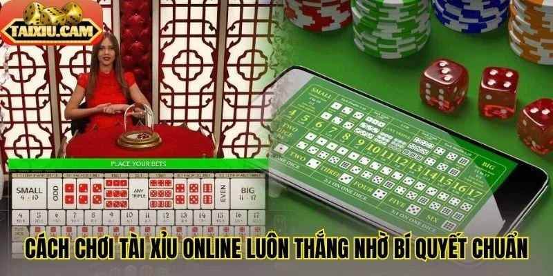 Cách chơi tài xỉu online luôn thắng nhờ bí quyết chuẩn