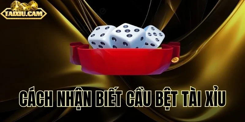Kết hợp phân tích xác suất giúp người chơi tự tin đặt cược