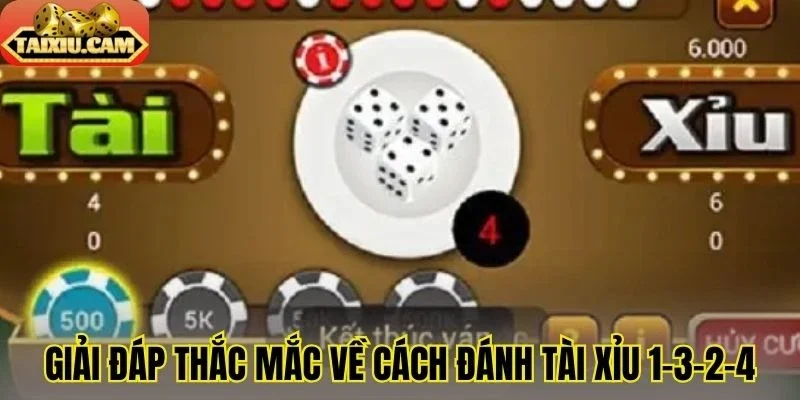 Giải đáp thắc mắc về cách đánh tài xỉu 1-3-2-4