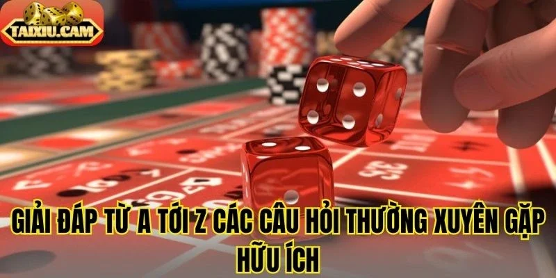 Giải đáp từ a tới z các câu hỏi thường xuyên gặp hữu ích