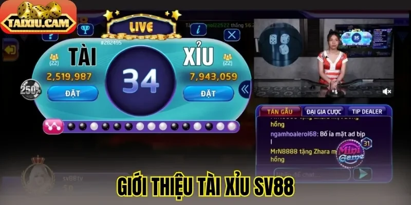 Giới thiệu tài xỉu SV88