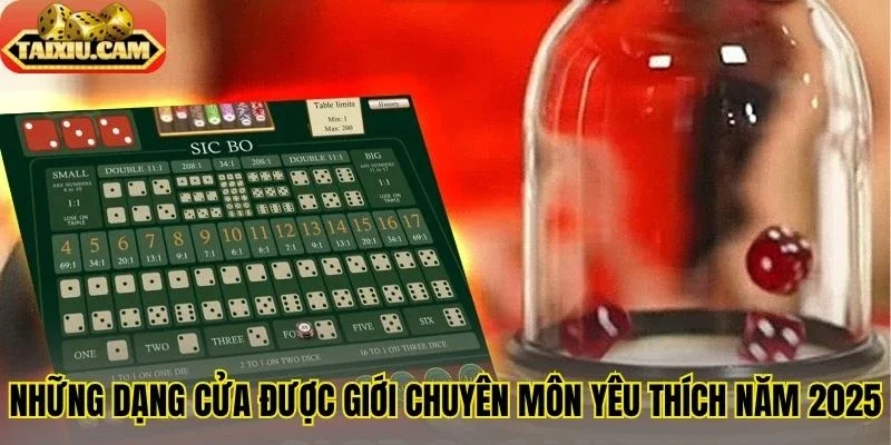 Những dạng cửa được giới chuyên môn yêu thích năm 2025