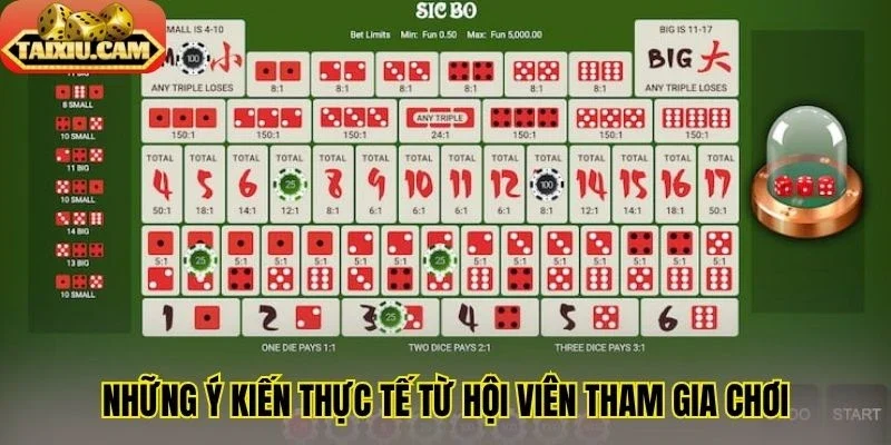 Những ý kiến thực tế từ hội viên tham gia chơi