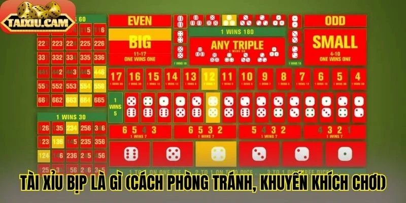 Tài xỉu bịp là gì (cách phòng tránh, khuyến khích chơi)