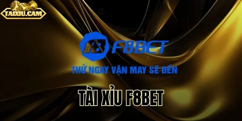 Không khí xúc xắc sôi động, cuốn hút từng giây