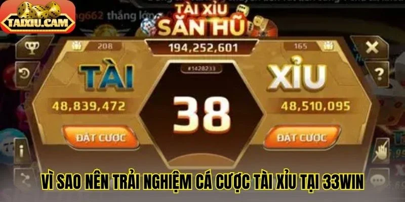 Vì sao nên trải nghiệm cá cược tài xỉu tại 33Win