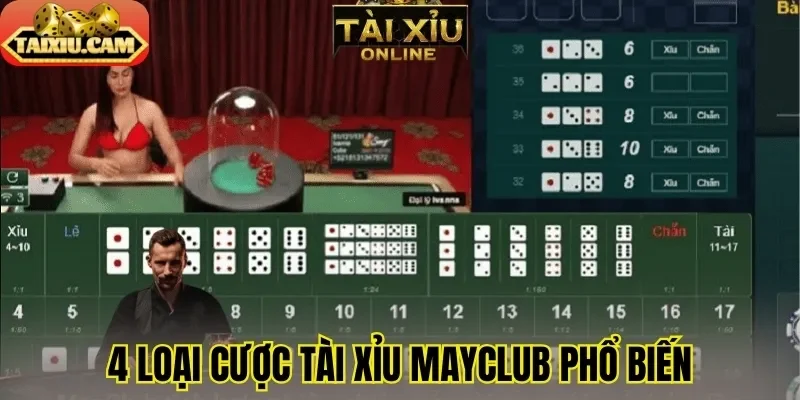 4 loại cược tài xỉu Mayclub phổ biến