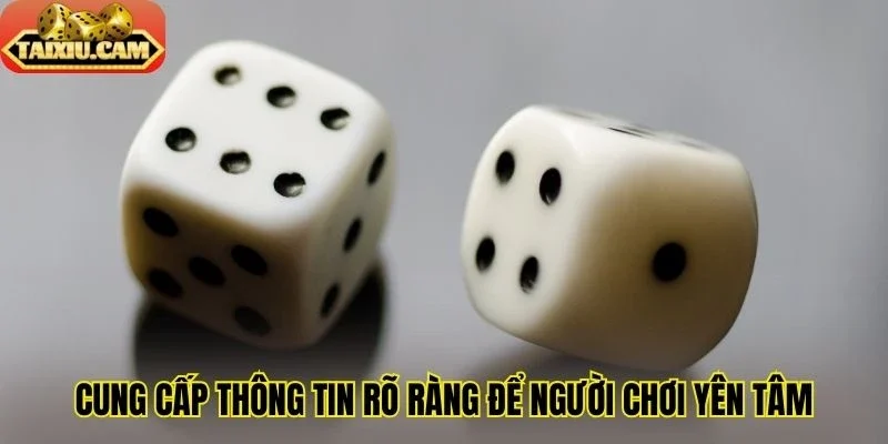 Cung cấp thông tin rõ ràng để người chơi yên tâm