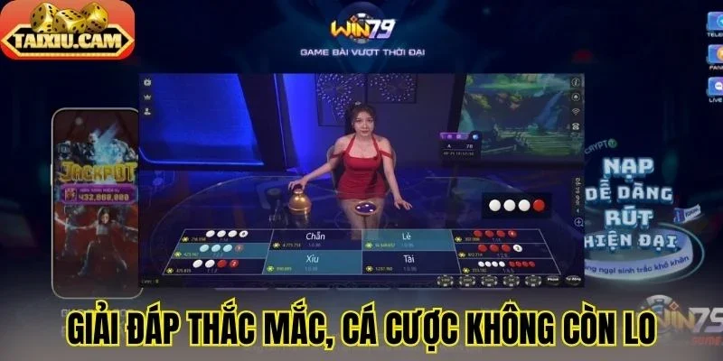 Giải đáp thắc mắc, cá cược không còn lo