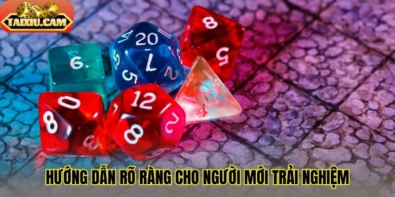 Hướng dẫn rõ ràng cho người mới trải nghiệm