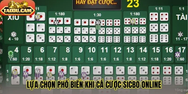 Lựa chọn phổ biến khi cá cược Sicbo online 