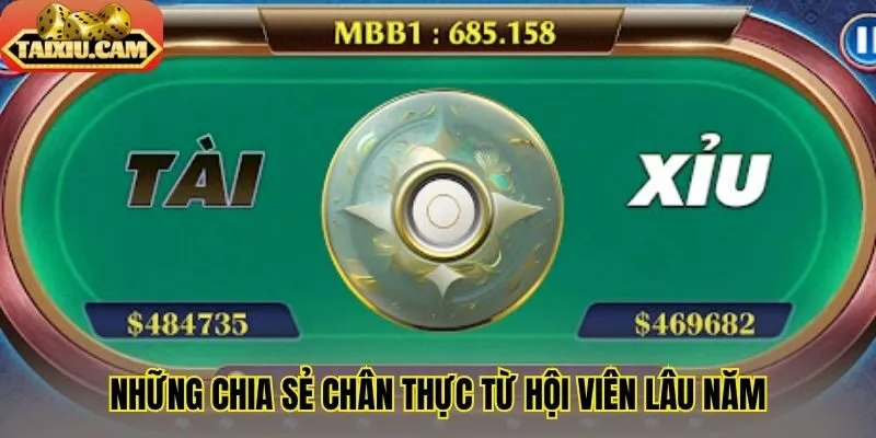 Những chia sẻ chân thực từ hội viên lâu năm