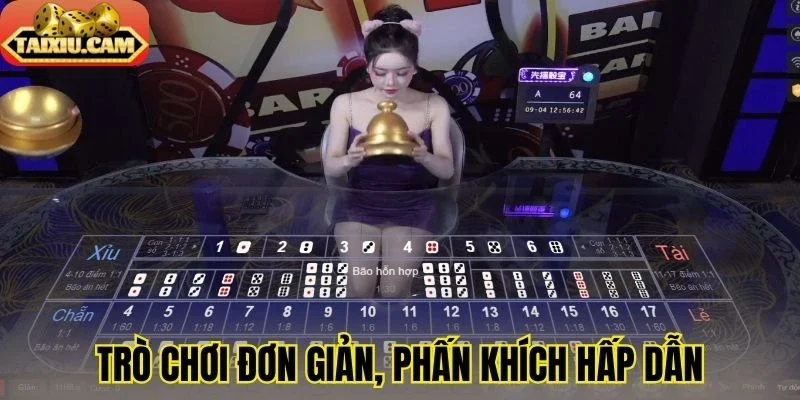 Trò chơi đơn giản mang đến cảm giác phấn khích hấp dẫn